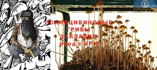 ECSTASY Алзамай