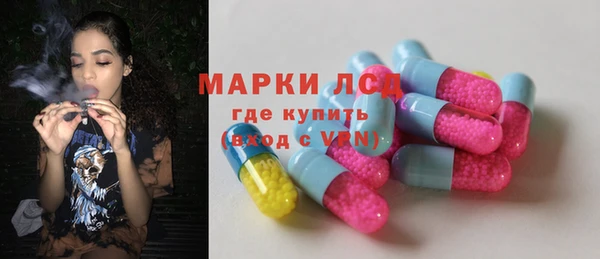 ECSTASY Алзамай
