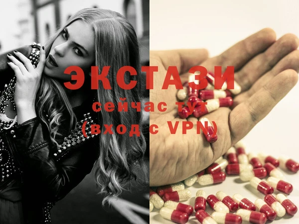 ECSTASY Алзамай