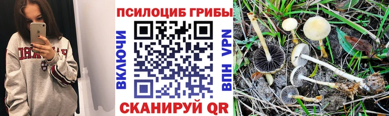 Псилоцибиновые грибы Magic Shrooms  даркнет сайт  Якутск 