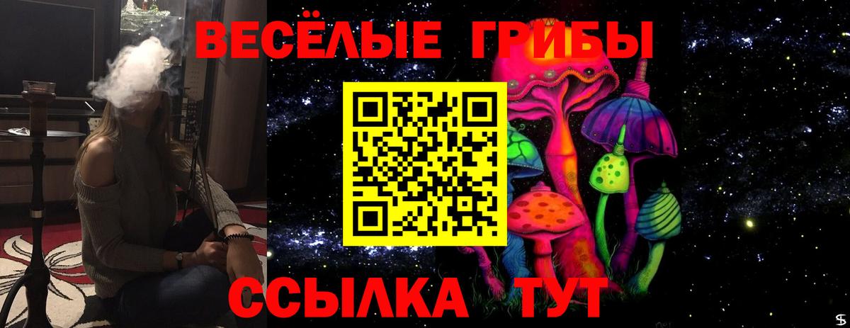 Галлюциногенные грибы прущие грибы  Вход с VPN  наркошоп  Якутск 